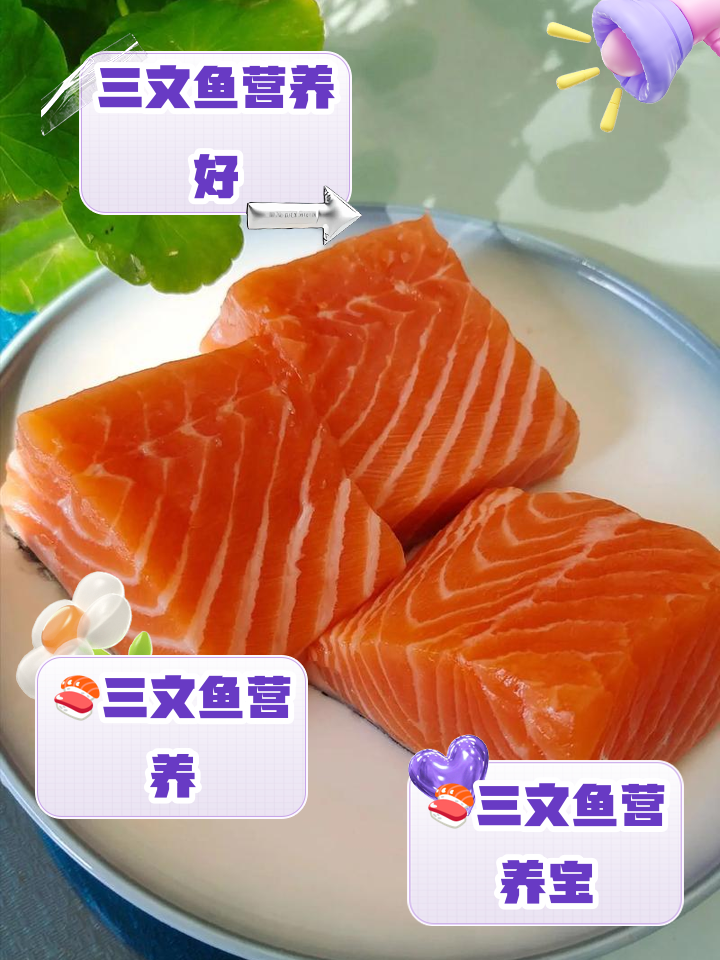 三文鱼的营并价值及功效(三文鱼的营养价值和副作用)